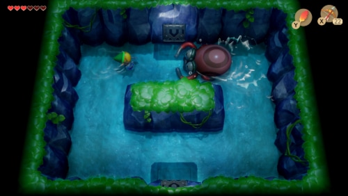 The Legend of Zelda Link's Awakening (Nintendo Switch) Perspective: left