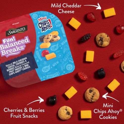 Sargento® Fun! Balanced Breaks® Mild Cheddar Cheese with Fruit Snacks