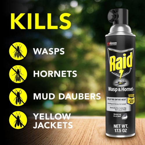 Raid Wasp & Hornet Insect Killer Perspective: left