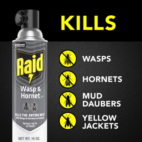 Raid® Wasp and Hornet Spray Value Pack Perspective: left