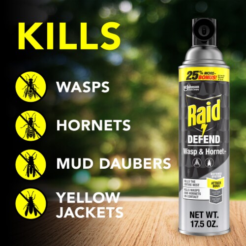 Raid Wasp & Hornet Killer, Stinging Bug Insecticide for Outdoor Use, 17.5 oz Perspective: left