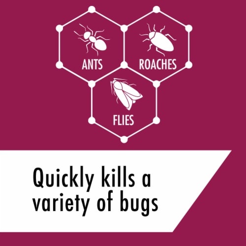 STEM Kills Ants, Roaches & Flies, Plant-based Active Ingredient Insecticide Perspective: left