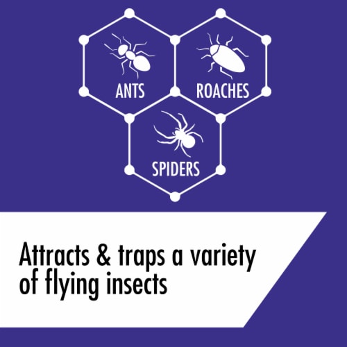 STEM Kills Ants, Roaches & Spiders Plant-based Active Ingredient Insecticide, 10 oz Perspective: left