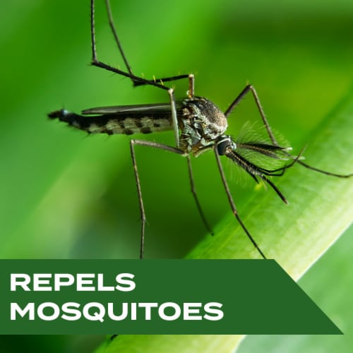 STEM Repels Mosquitoes: Mosquito Repellent Spray with Botanical Extracts; 4 fl oz 1 ct Perspective: left