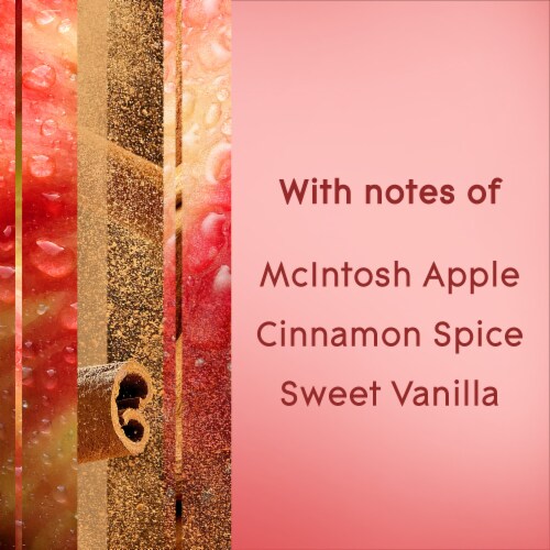 Glade® Aerosol Spray Air Freshener Apple Cinnamon Scent Infused with Essential Oils Perspective: left