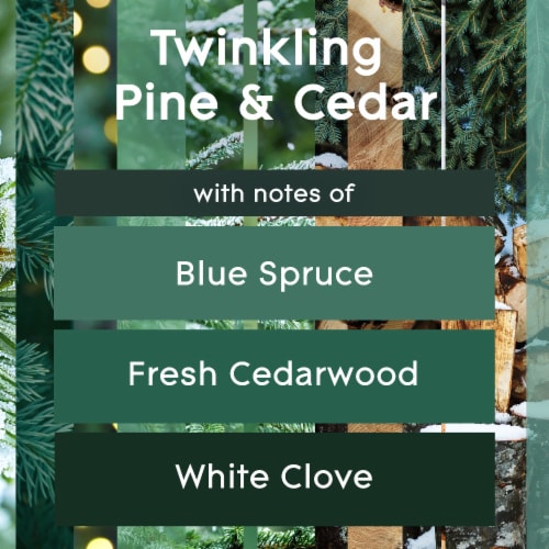 Glade 3 Wick Scented Candle, Twinkling Pine & Cedar, Fragrance Infused with Essential Oils, 6.8 oz Perspective: left