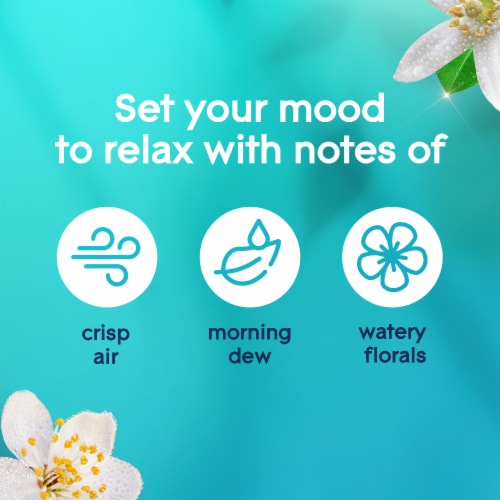 Glade PlugIns Refills Air Freshener, Dewdrop Petals, 1.34 Oz, 2 Count Perspective: left