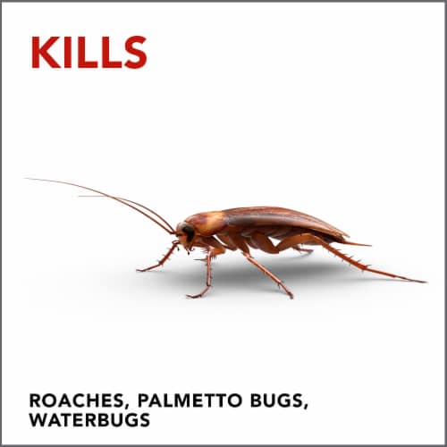 Raid® Double Control Small Roach Baits Perspective: left