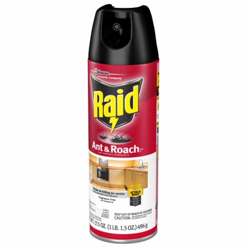 Raid® Fragrance Free Ant & Roach Killer Perspective: left