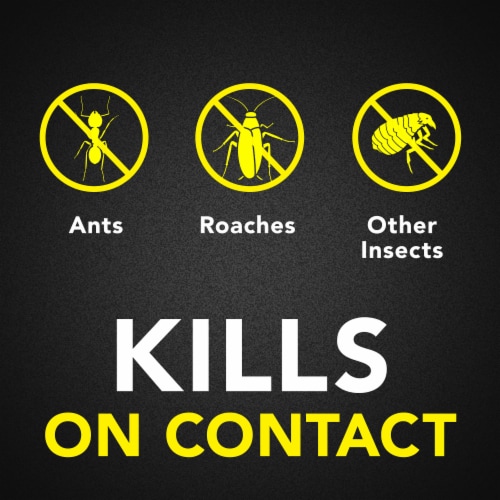 Raid® Outdoor Fresh Scent Ant & Roach Defense Spray Outdoor Bug Killer Spray Perspective: left
