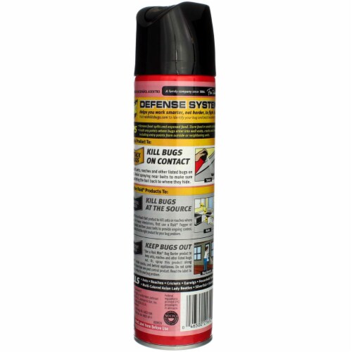 Raid Ant & Roach Killer Aerosol Outdoor Fresh, 12 oz Perspective: left