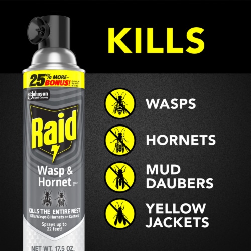 Raid Wasp & Hornet Killer, Outdoor Flying Insect Spray, 17.5 oz Perspective: left