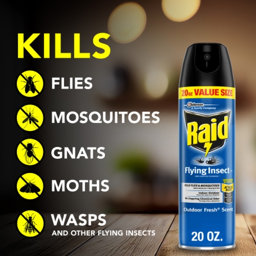 Raid Flying Insect Killer 7, Insecticide Spray, Outdoor Fresh Scent, 20 oz Perspective: left