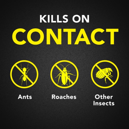 Raid® Lavender Scent Ant & Roach Killer Spray Perspective: left