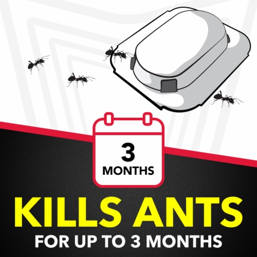 Raid® Ant Baits Perspective: left
