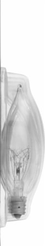 Philips DuraMax 60-Watt Candelabra Base BA9 Bent Tip Candle Light Bulbs Perspective: left