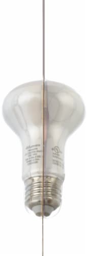 Philips 5-Watt (45-Watt) R20 Indoor LED Floodlight Bulb Perspective: left