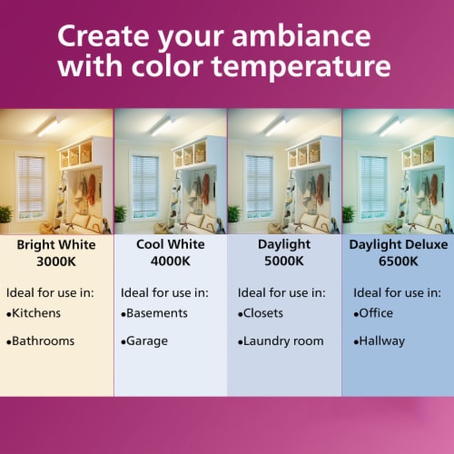 Philips 11-Watt (75-Watt) A19 LED Dimmable Flicker Free Light Bulb - Daylight (5000K) Perspective: left