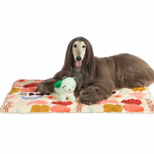 Manhattan Pet Toy Squeaks-A-Lot Scout Squirrel Sherpa-Style Soft Squeaker Dog Toy Perspective: left