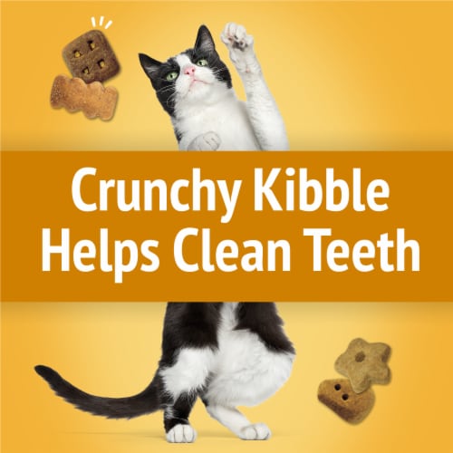 Purina Friskies Party Mix Cat Treats Cheezy Craze Crunch Perspective: left
