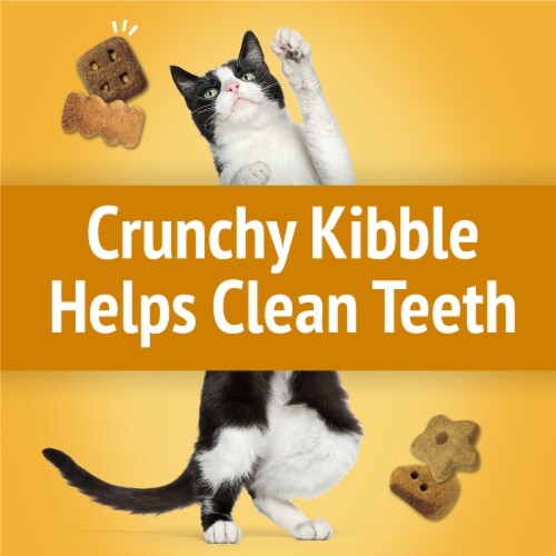 Purina Friskies Party Mix Cat Treats Cheezy Craze Crunch Perspective: left