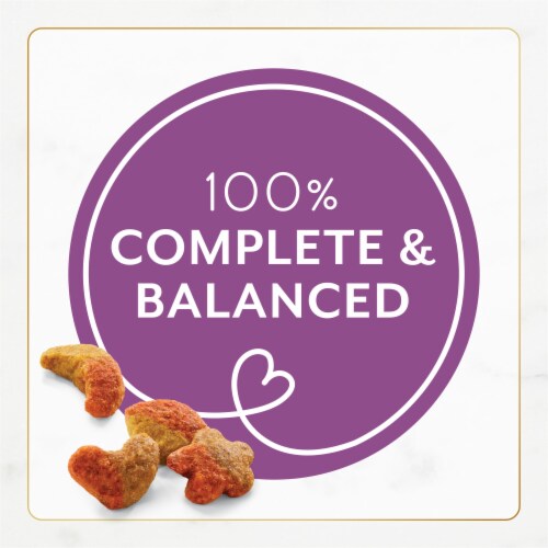 Purina fancy feast gourmet dry cat food with savory chicken & turkey online
