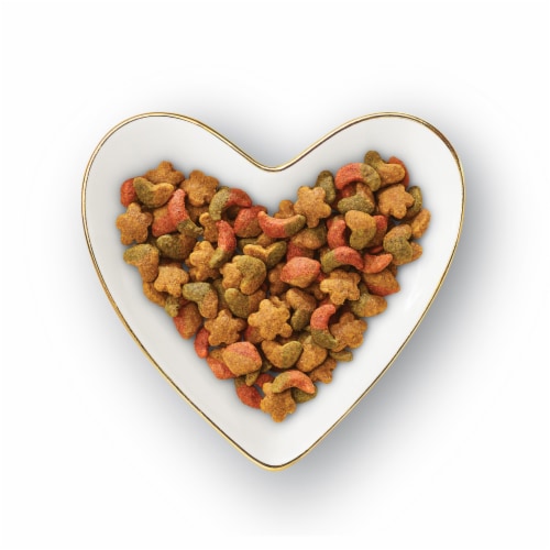 Fancy Feast Dry Cat Food Ocean Fish & Salmon and Accents of Garden Greens - 48 Ounces Perspective: left