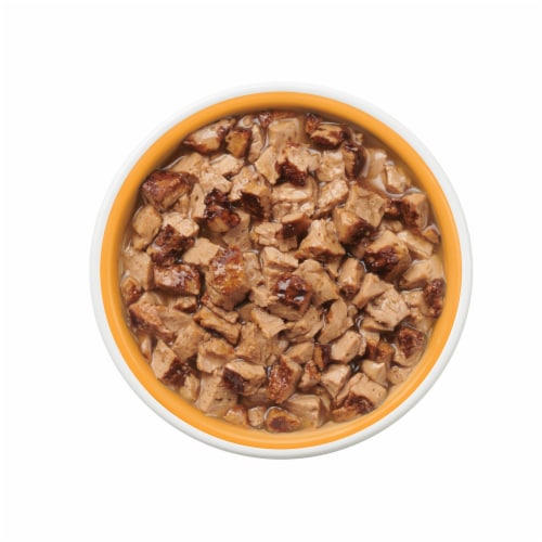 Purina Friskies Lil' Grillers Gravy Wet Cat Food Lickable Cat Treats Seared Cuts With Chicken Perspective: left