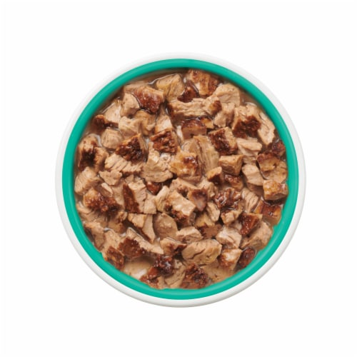 Purina Friskies Lil Grillers Wet Cat Food Complement in Gravy Seared Cuts with Ocean Fish Perspective: left