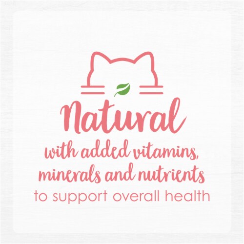 Purina Fancy Feast Natural Pate Wet Kitten Food, Gourmet Naturals Natural Wild Alaskan Salmon Recipe Perspective: left