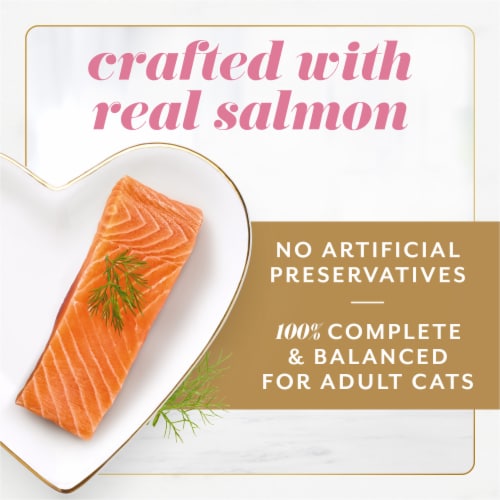 Purina Fancy Feast Gems Mousse Pate With Salmon and Halo of Savory Gravy Cat Food Perspective: left