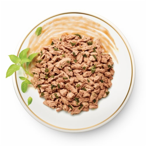 Purina Fancy Feast Medleys Shredded Wet Cat Food Wild Salmon Fare in Savory Broth Perspective: left