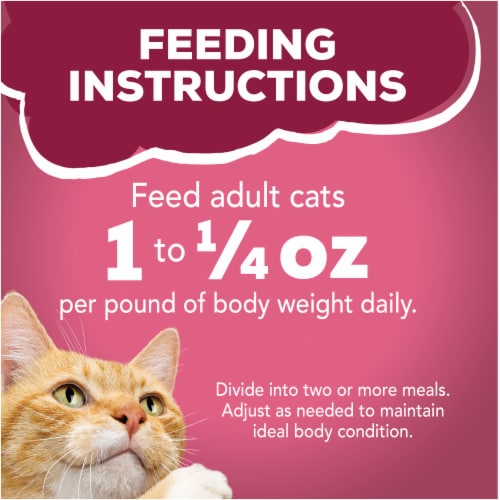 Friskies® Meaty Prime Filets Favorites in Gravy Wet Cat Food Variety Pack Perspective: left