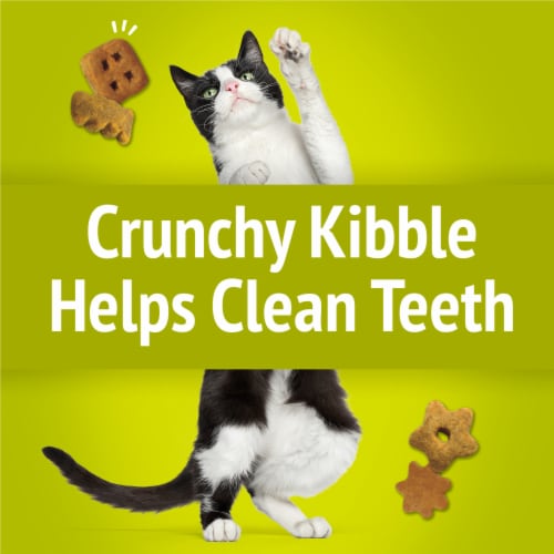Purina Friskies Party Mix Morning Munch Crunch Cat Treats Perspective: left