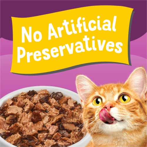 Friskies Lil Complements Variety Pack Lickable Gravy Cat Food Topper Seafood and Poultry Perspective: left