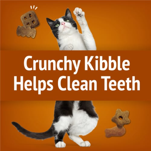 Purina Friskies Party Mix Cat Treats Chicken Lovers Crunch Perspective: left