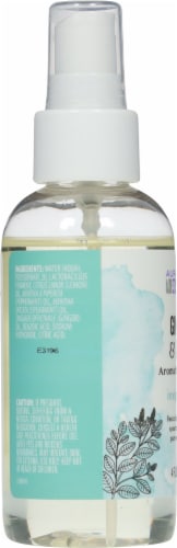 Aura Cacia Aroma Mist Ginger Mint Perspective: left