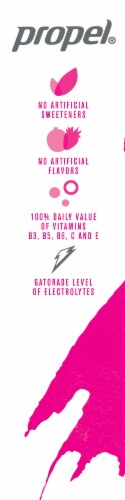 Propel Vitamin Boost Berry Kiwi Electrolyte Enhanced Water Mix Perspective: left