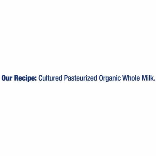 Stonyfield® Organic Plain Whole Milk Greek Yogurt Tub Perspective: left