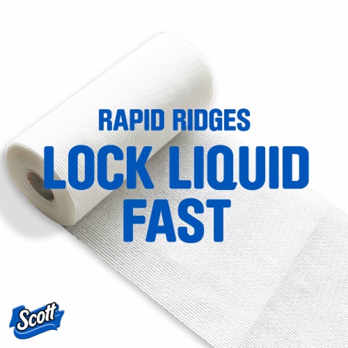 Scott Paper Towels Choose A Sheet Mega Rolls Perspective: left