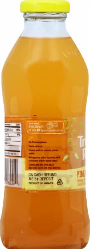 Grace® Tropical Rhythms Pineapple Ginger Juice Drink Perspective: left