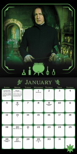 Trends 2025 Harry Potter™ Wall Calendar Perspective: left