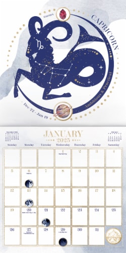 2025 Astrology Wall Calendar Perspective: left