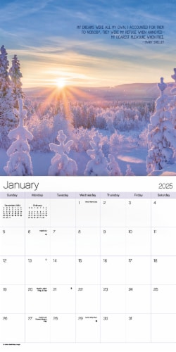 2025 First We Dream Wall Calendar Perspective: left
