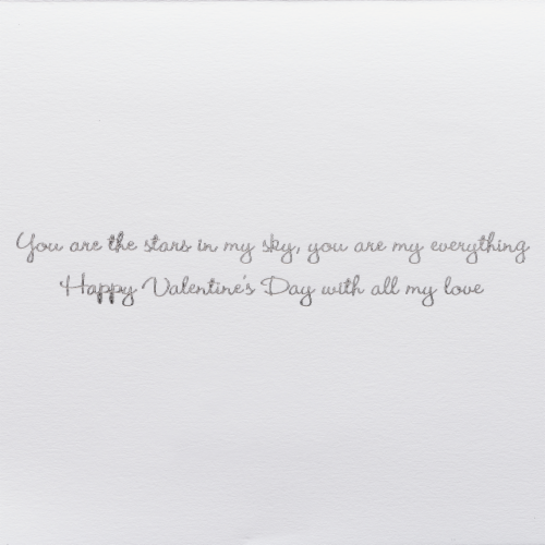 Papyrus (S7) Star Crossed Lovers Valentine's Day Greeting Card Perspective: left