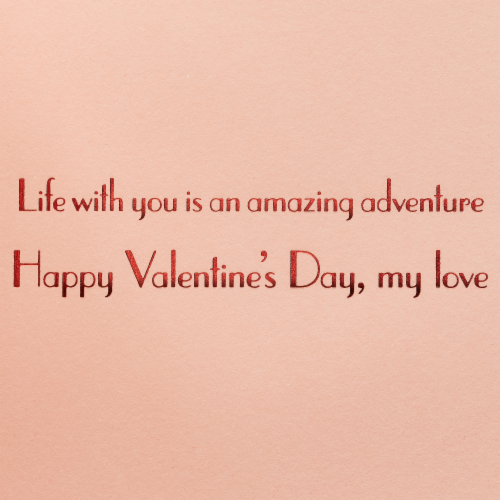 Papyrus (S2) Hot Air Balloon - Valentine's Day Perspective: left