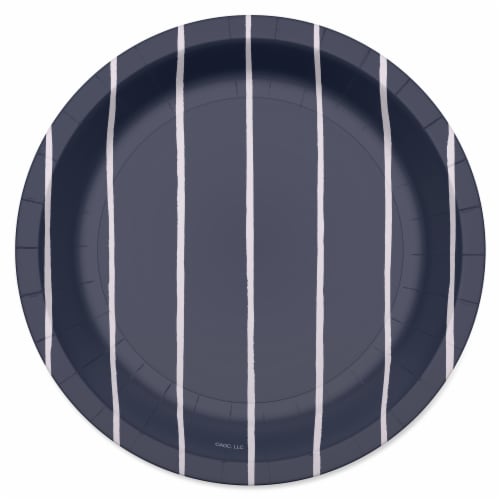 American Greetings Paper Plates - Navy with Stripes Perspective: left