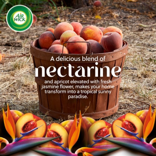 Air Wick Plug in Scented Oil Refill Nectarine & Paradise Flower Air Freshener Essential Oils Perspective: left