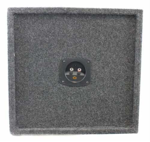 Pyramid BNPS102 10 1000W Dual Car Audio Subwoofers w Bandpass Box
