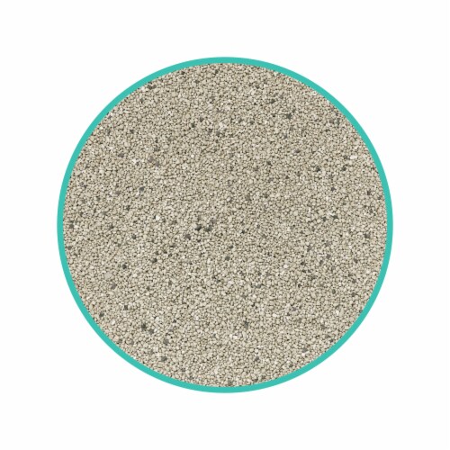 Purina® Tidy Cats® LightWeight Free & Clean Unscented Clumping Multi-Cat Litter Perspective: left